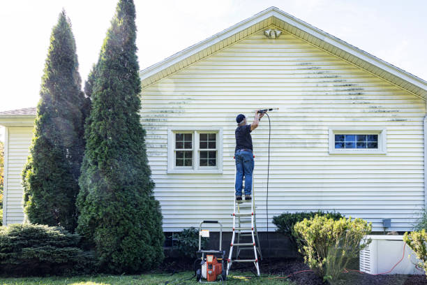 Best Driveway Pressure Washing  in Susanville, CA